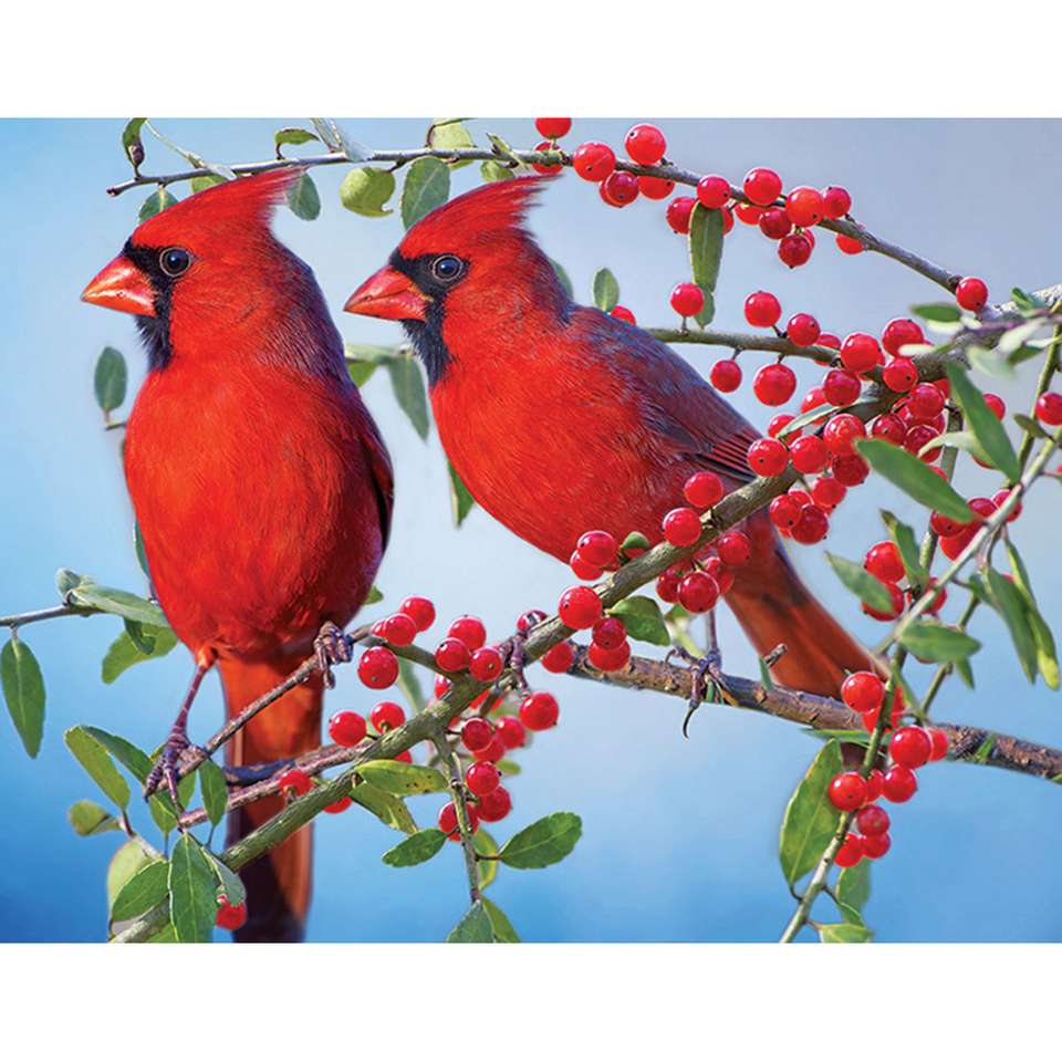Lindos pássaros vermelhos puzzle online