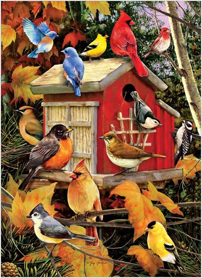 cair pássaros e suas casas puzzle online