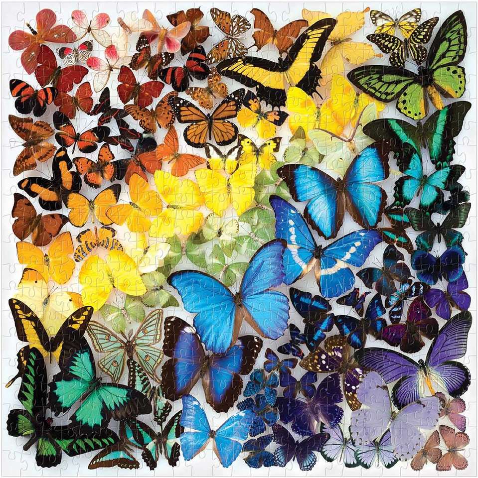 duhových motýlů online puzzle