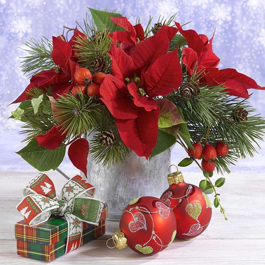 RED CHRISTMAS PLANTER jigsaw puzzle online