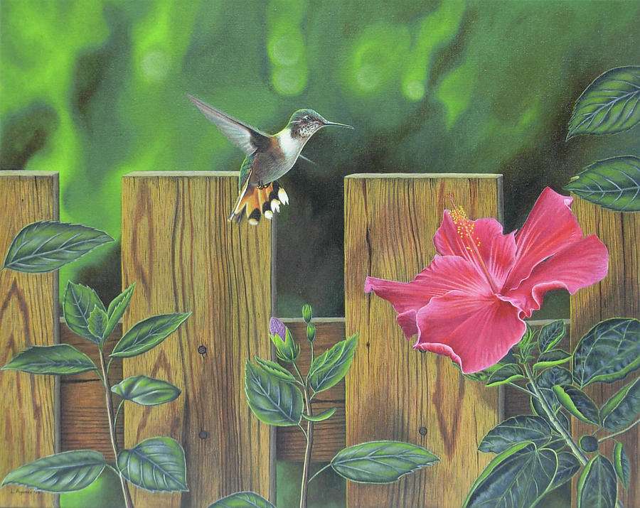 little hummingbird jigsaw puzzle online