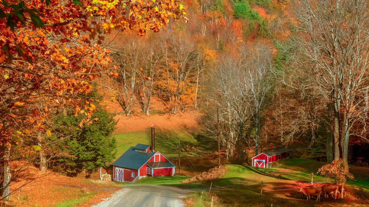 Herbstliche Landschaft. Puzzlespiel online