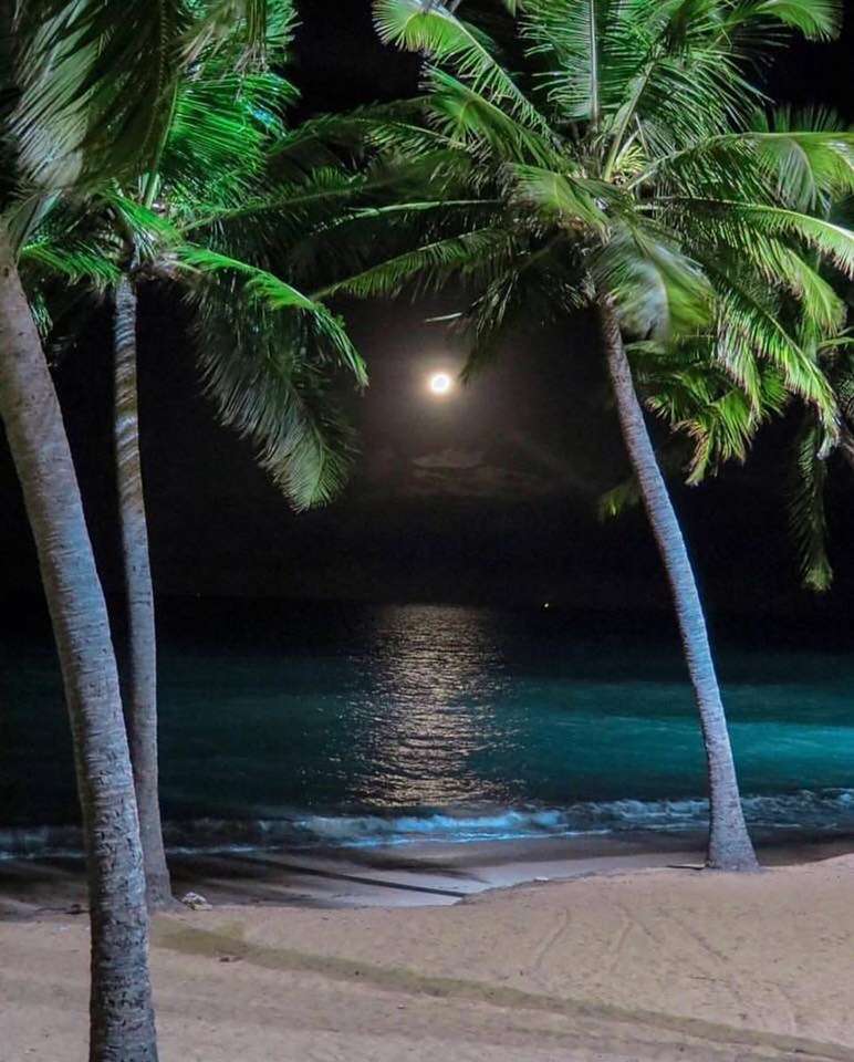 Night on the beach online puzzle