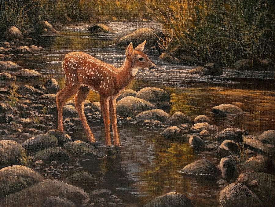 fawn in the river online puzzle
