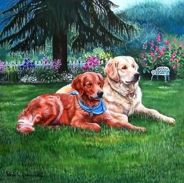 Dogs in the garden #111 online puzzle