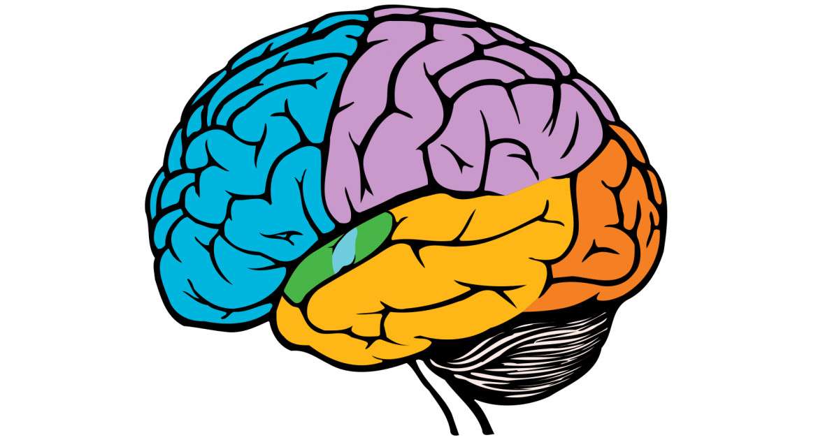 mozek online puzzle