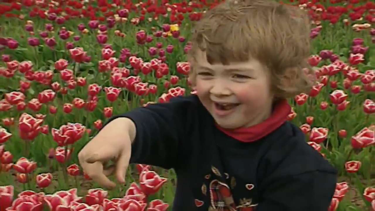Маленькая девочка возле тюльпанов пазл онлайн