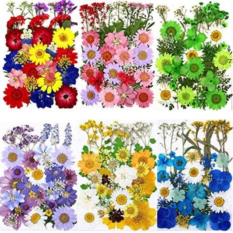 набір сухих квітів онлайн пазл