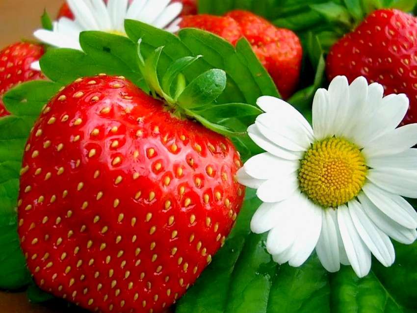 Strawberries online puzzle