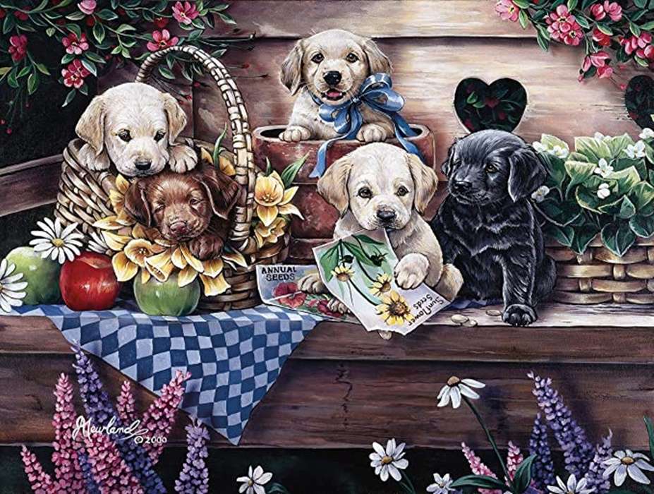 dolcissimi cuccioli puzzle online
