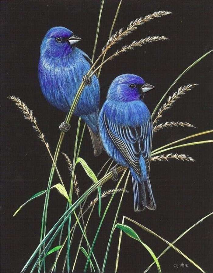 две синие птицы онлайн-пазл
