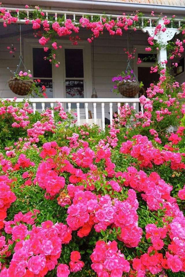 Blommor framför verandan Pussel online