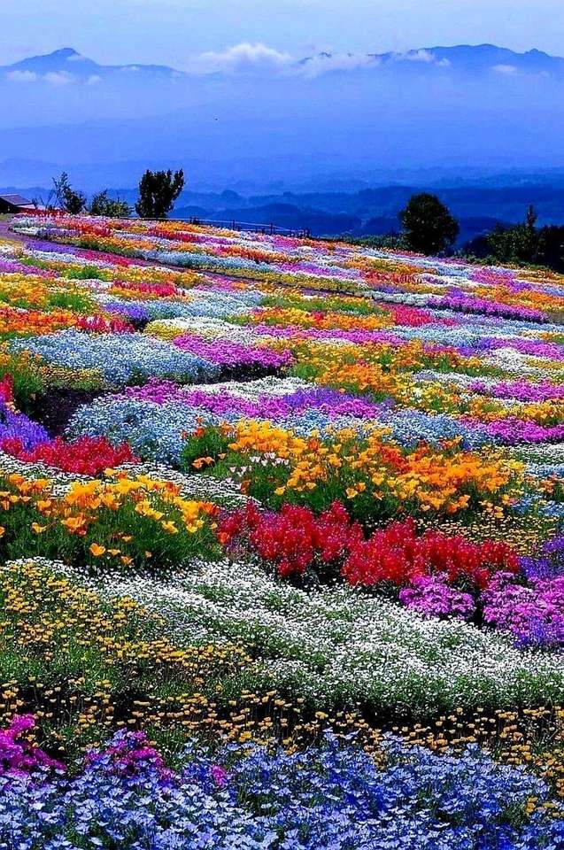 tapijt van bloemen legpuzzel online
