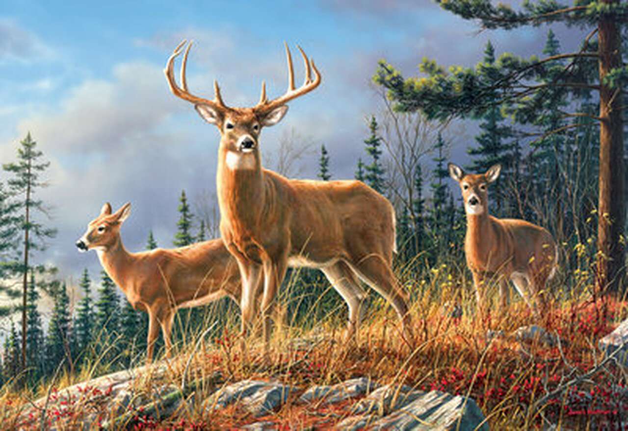 Animals in the woods online puzzle
