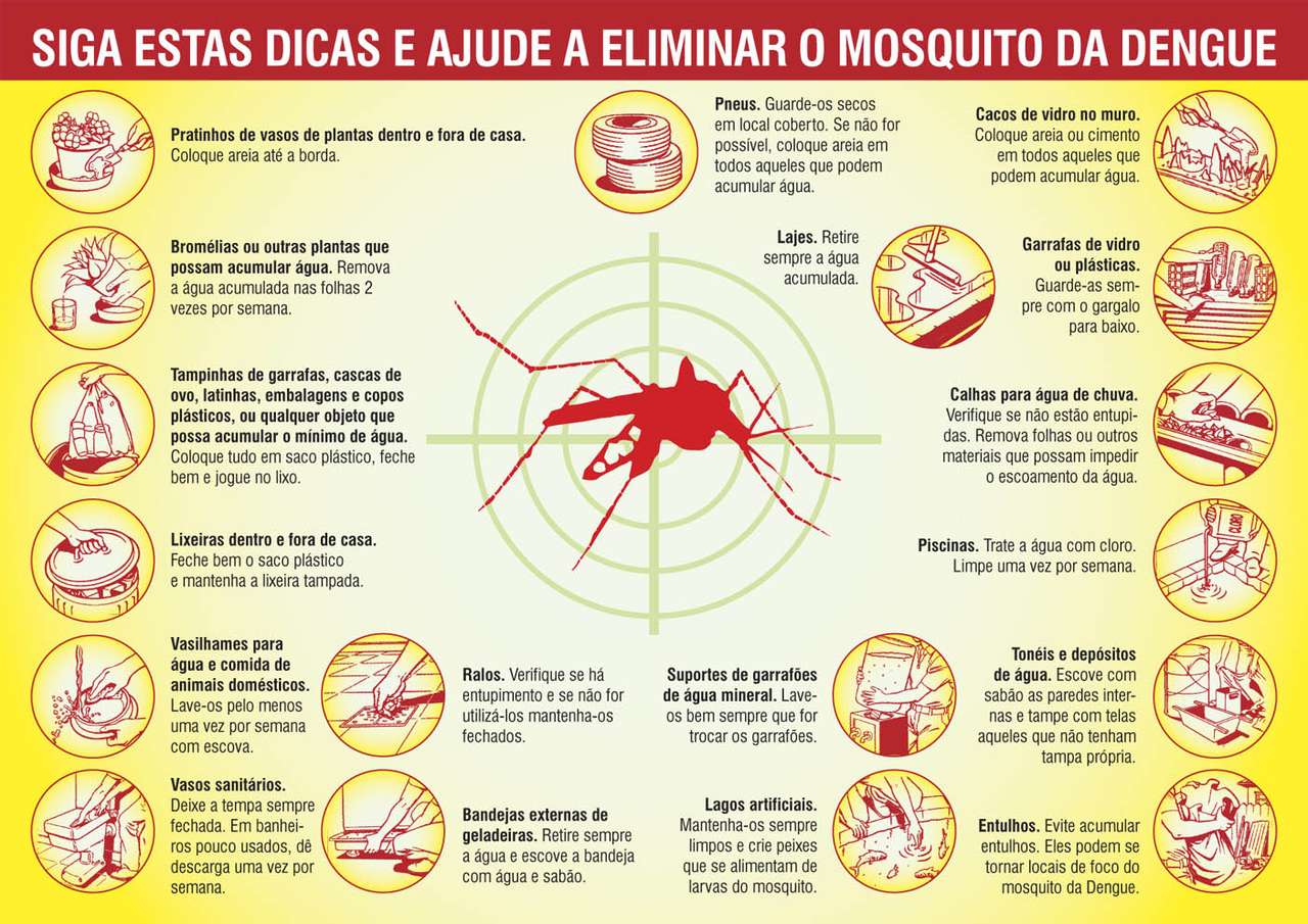 Hogyan lehet megszüntetni a dengue-láz kitörését kirakós online