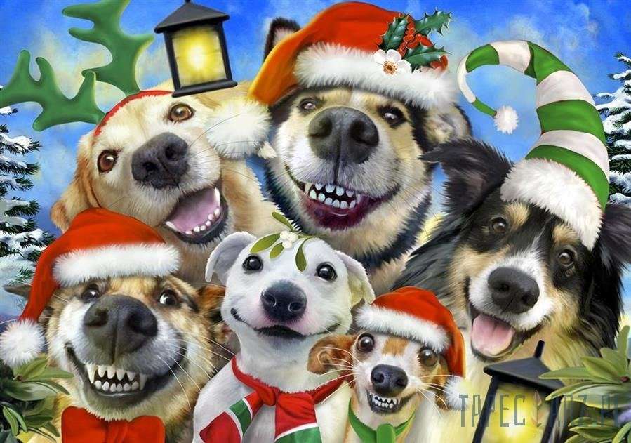 Glada hundar pussel på nätet