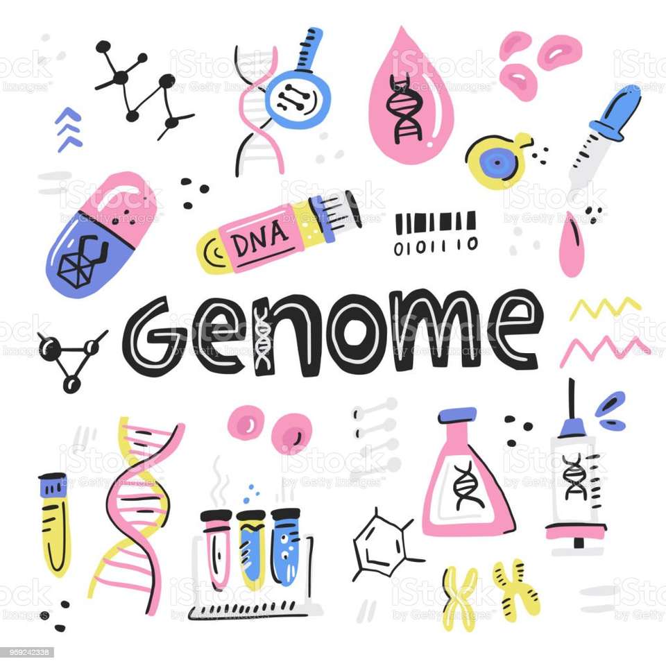Beszélgetés az emberi genomról online puzzle