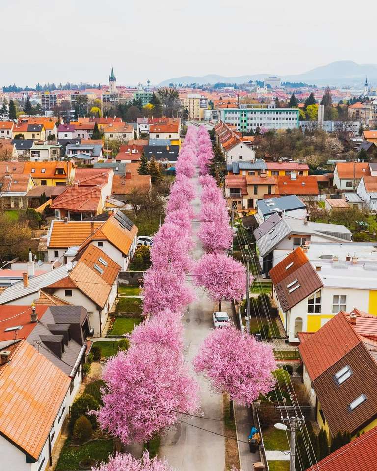 Prešov en primavera rompecabezas en línea