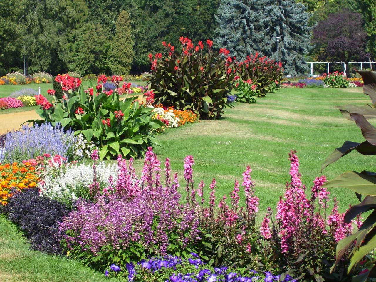 Giardino fiorito in molti colori puzzle online