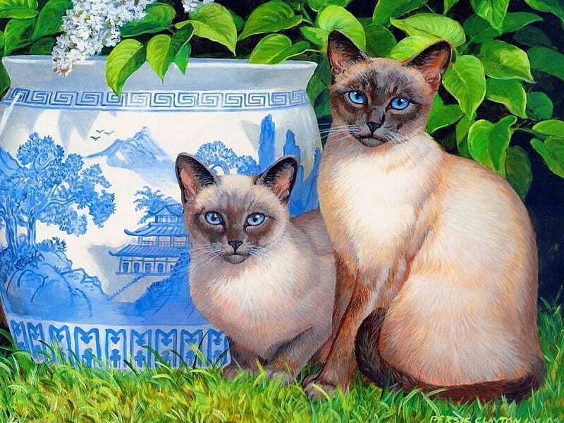 Siamese kittens in de tuin #140 online puzzel