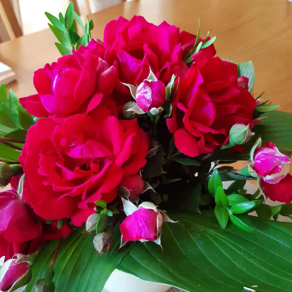 πολύ κόκκινα όμορφα λουλούδια παζλ online