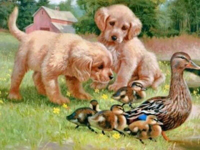 Cuccioli dietro gli anatroccoli #137 puzzle online