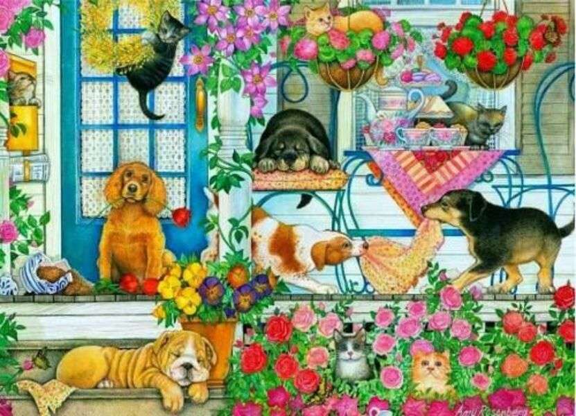 Cuccioli nel corridoio della casa #138 puzzle online