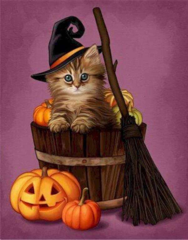 Kattunge på Halloween #148 pussel på nätet