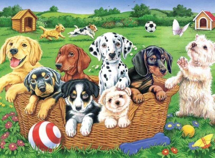 Puppies in the field #140 jigsaw puzzle online