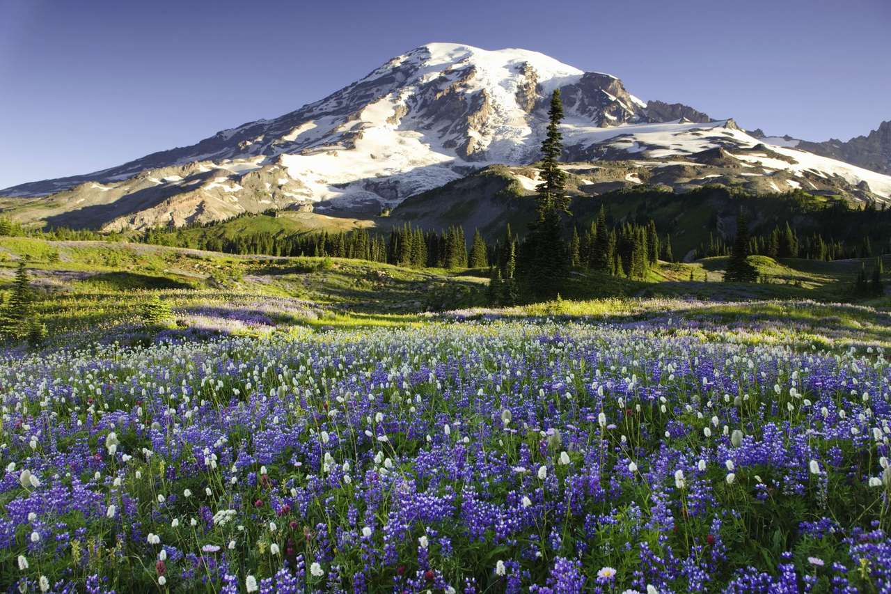 Parque Nacional Rainier Washington quebra-cabeças online