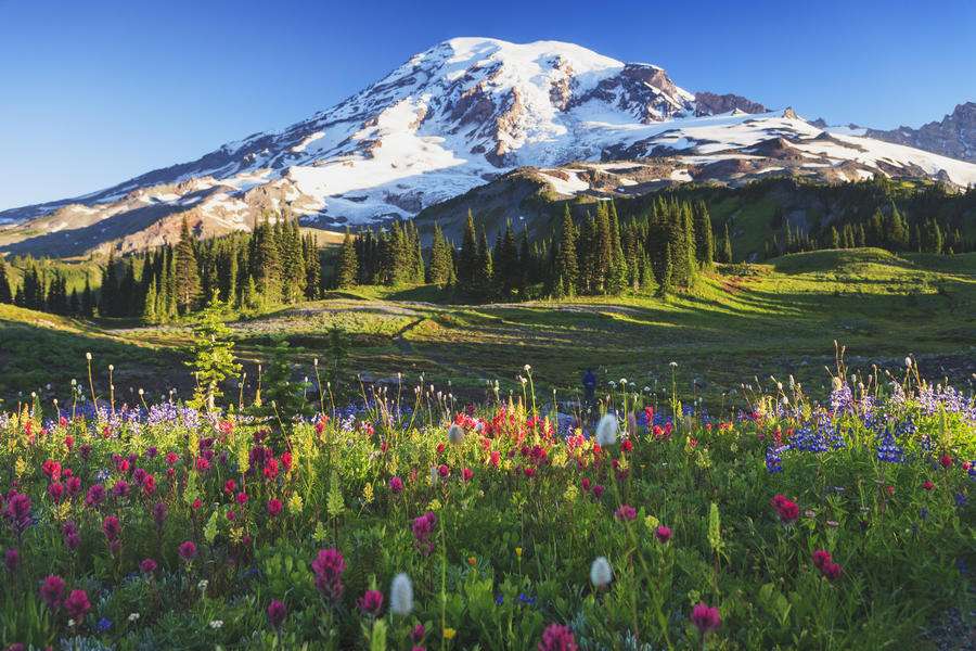 Snowy mountain beautiful view online puzzle