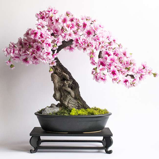 Bonsai stromek skládačky online