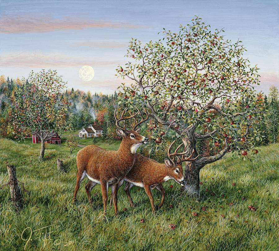 some deer jigsaw puzzle online
