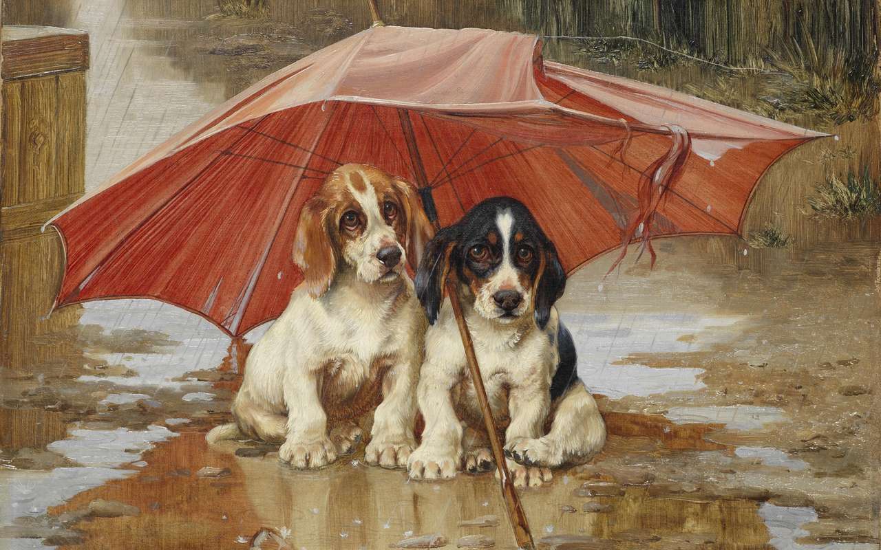 twee puppy's onder een paraplu legpuzzel online