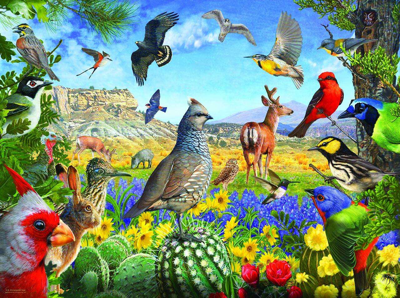 Aves e animais puzzle online