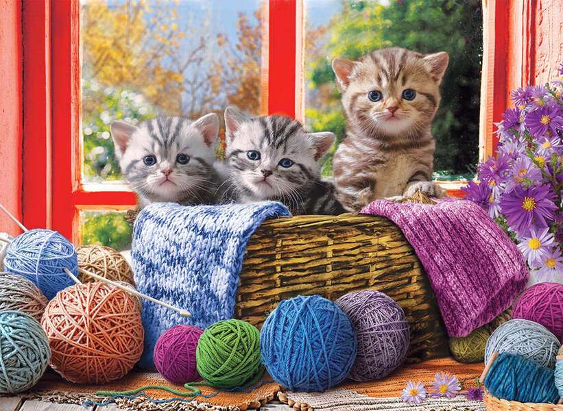 Kittens willen breien #151 online puzzel