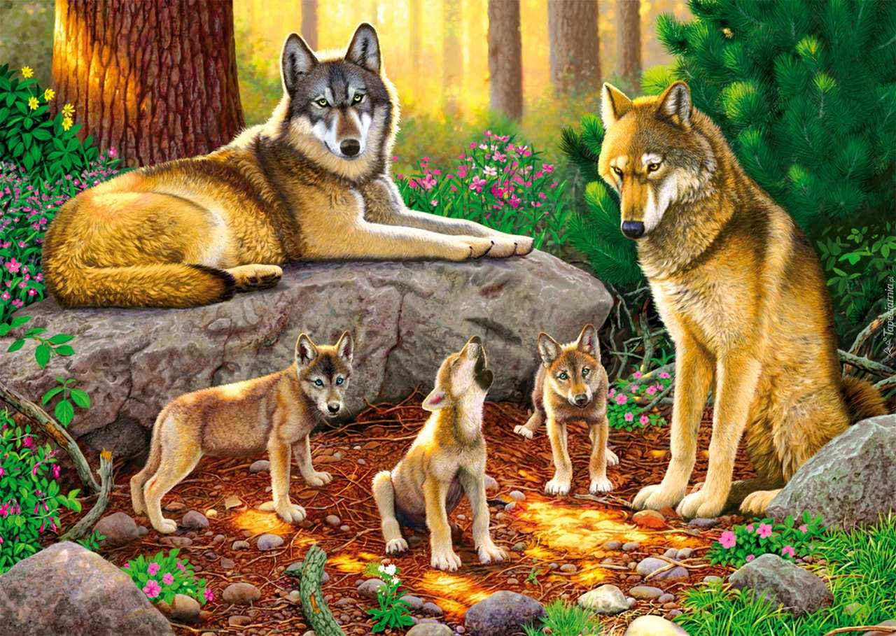 farkas család kirakós online