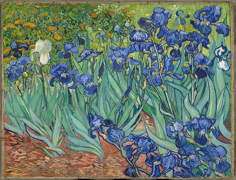Schwertlilien - Vincent Van Gogh Puzzlespiel online