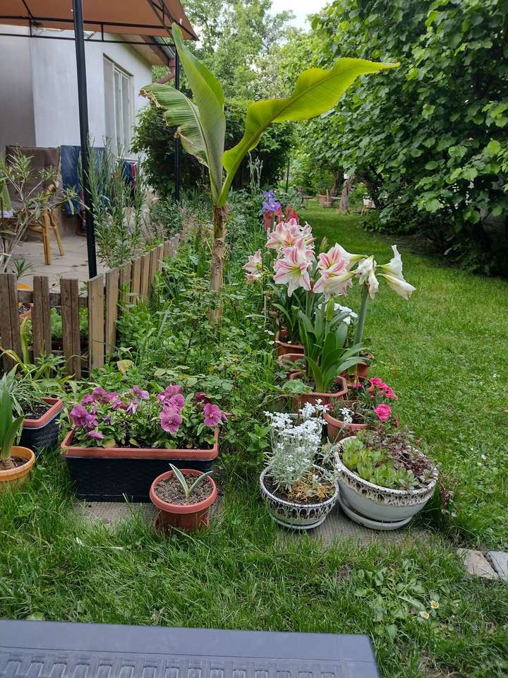 Градина пред къща онлайн пъзел