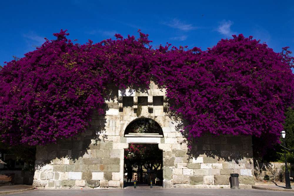 Porte de la ville de l'île grecque de Kos puzzle en ligne