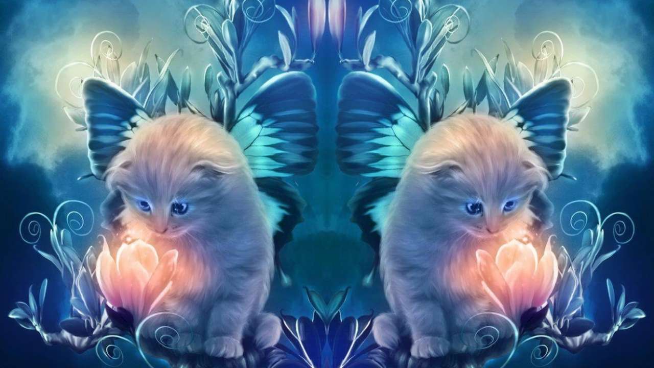 chaton à la fleur dédoublé puzzle en ligne