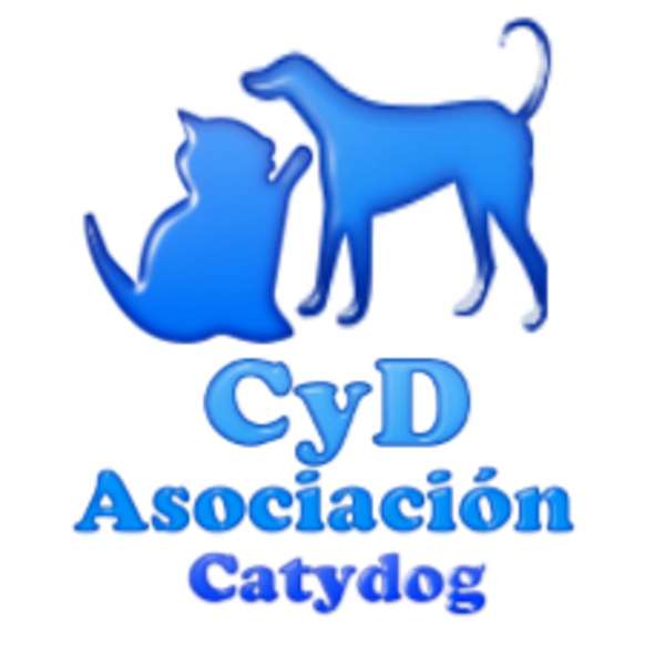 Catydog Association Pussel online