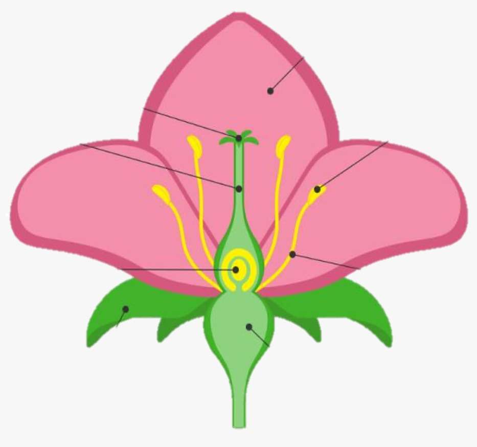 blomma0101 pussel på nätet