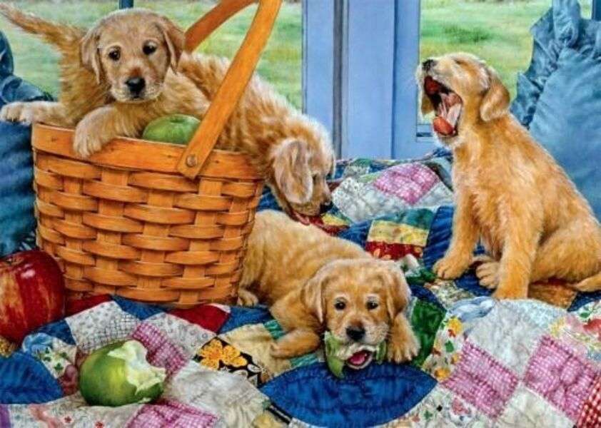 Puppies are bored #157 online puzzle