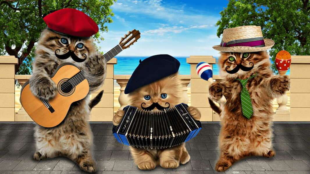 Musiker kattungar #167 pussel på nätet