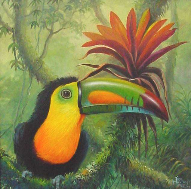 Toucan in the jungle jigsaw puzzle online