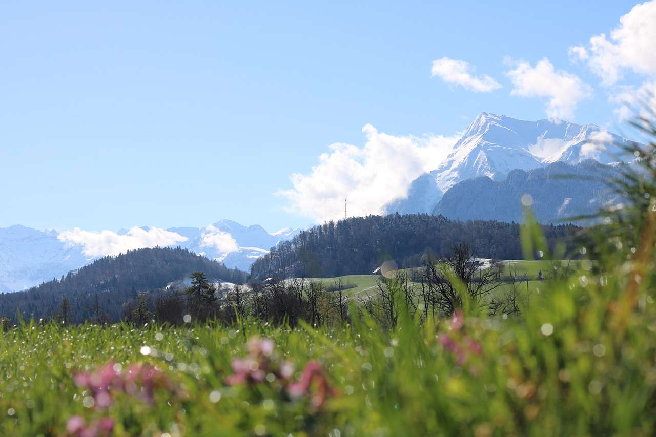 Schweiz naturpark Pussel online