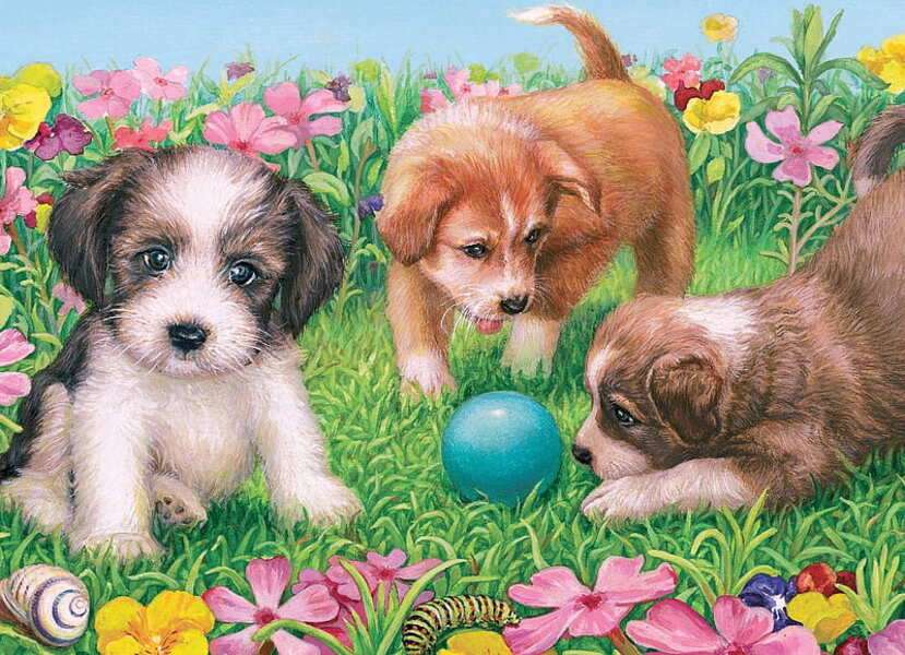 I cuccioli condividono la palla #161 puzzle online