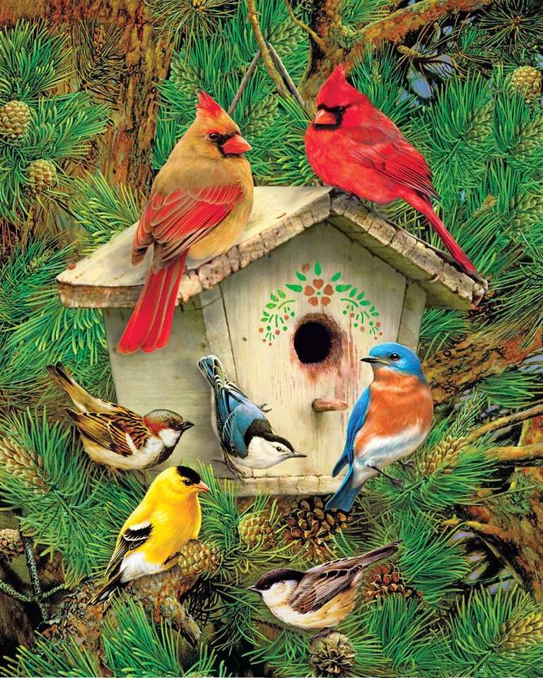 Kleurrijke vogels op de feeder online puzzel