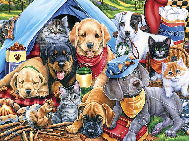Cuccioli del campo #163 puzzle online